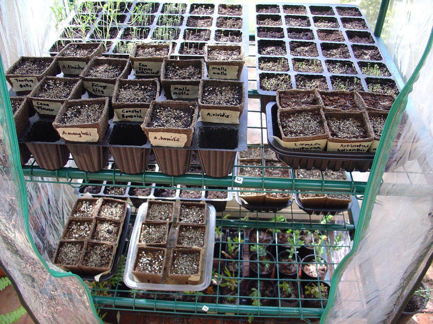 10 Important Jobs in Horticulture that are Resilient