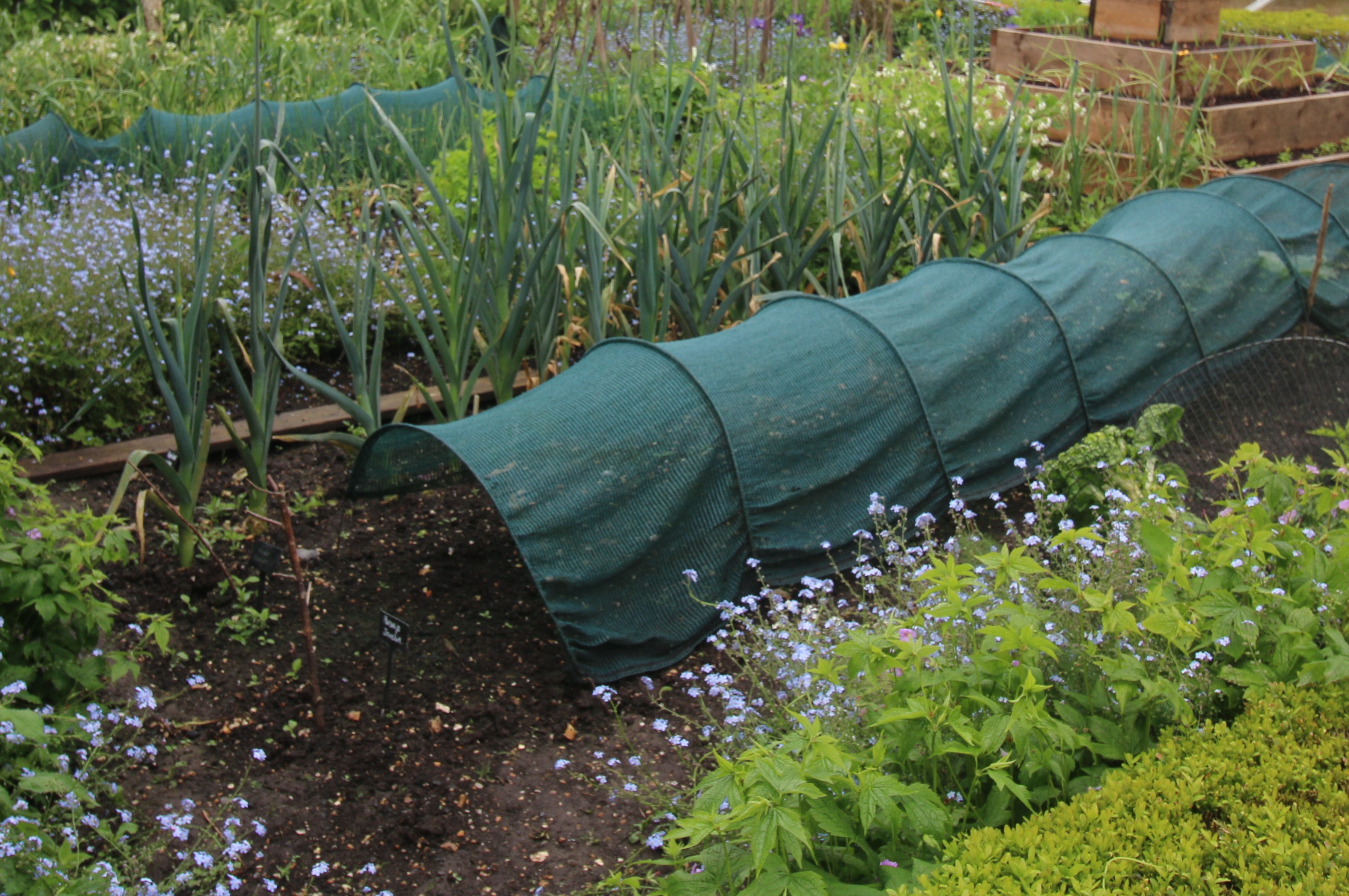 ADJUSTING TO A VOLATILE CLIMATE