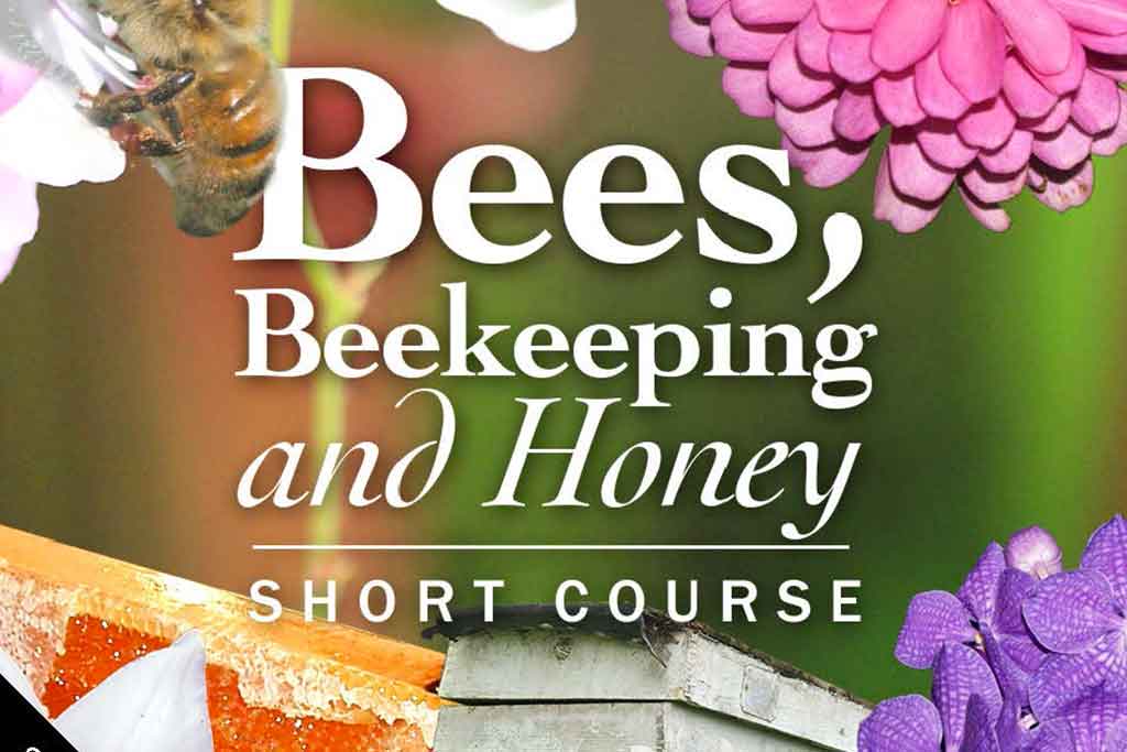 BEES, BEEKEEPING AND HONEY