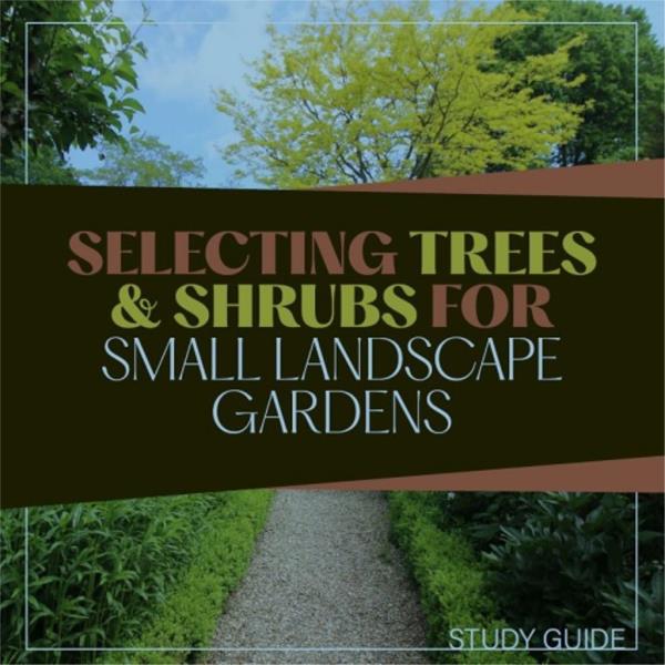 Selecting Trees and Shrubs for Small Spaces