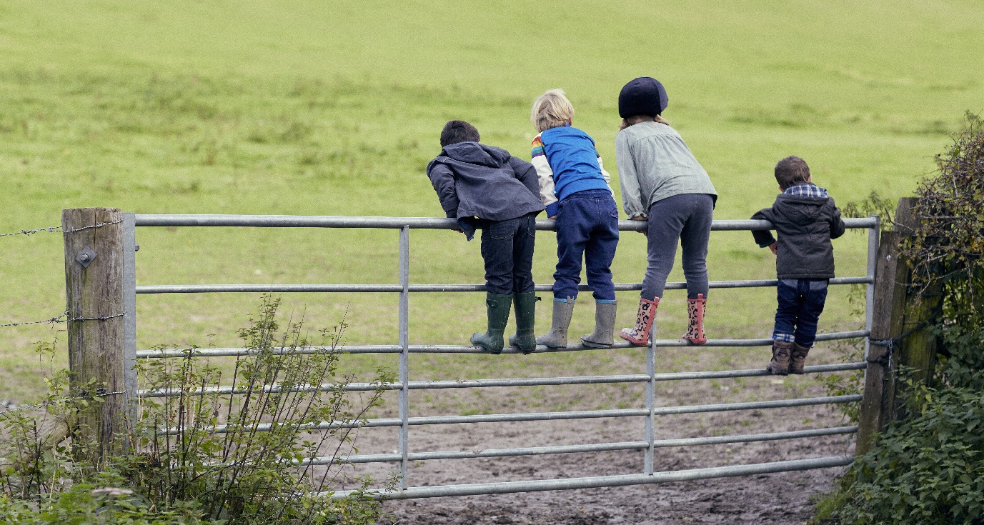 DIVERSIFYING FARM INCOME