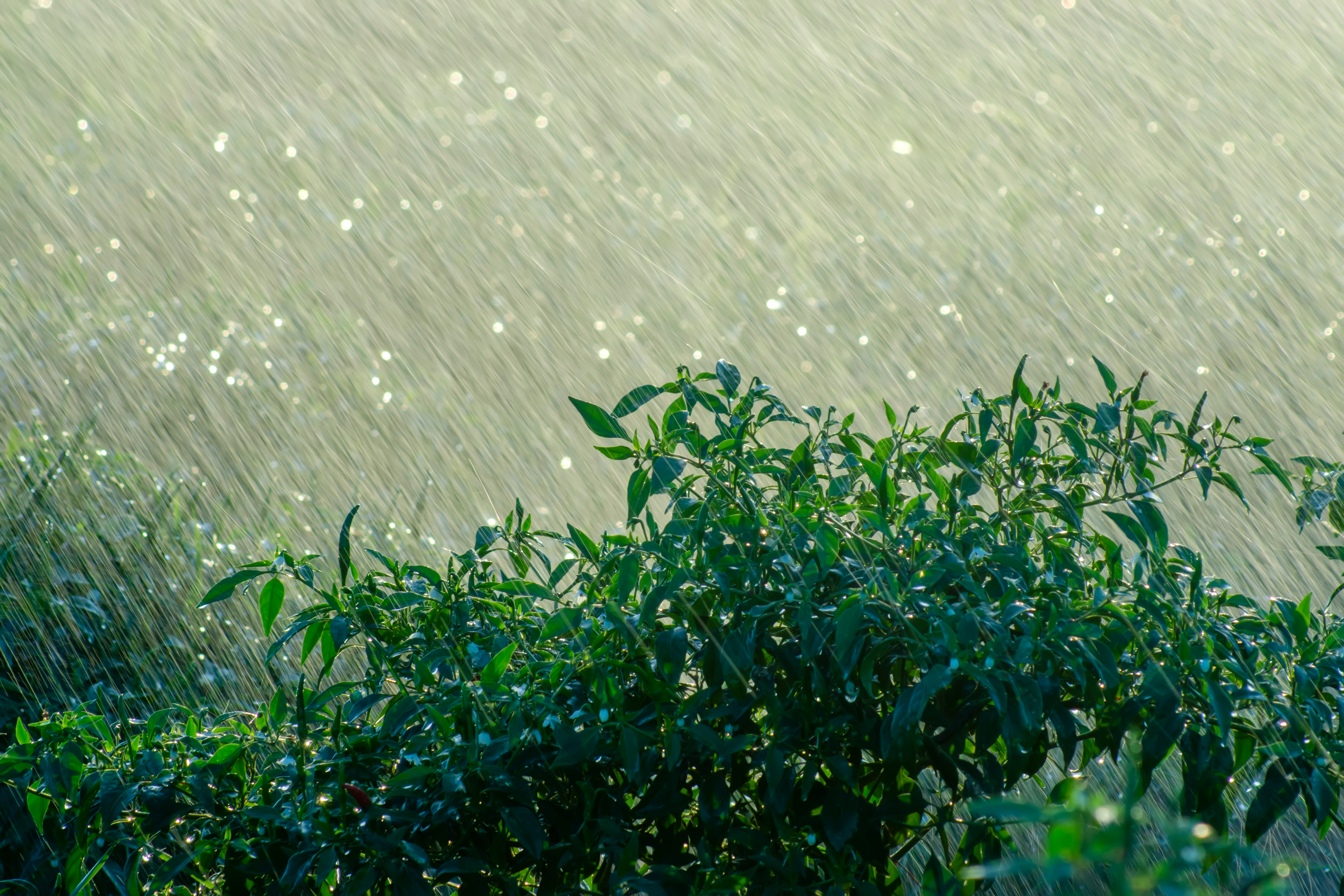 MITIGATING STORM AND FLOOD DAMAGE