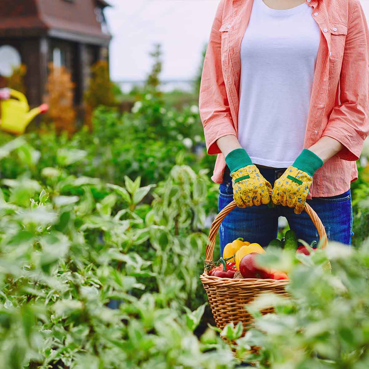 What is Organic Growing